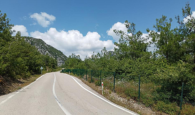 Samsun Valiliği'nden orman yangınlarına karşı uyarı