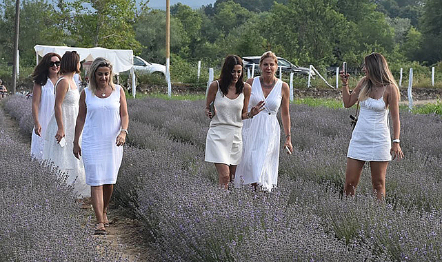 Sinop’ta lavanta tarlası alternatif turizm rotası