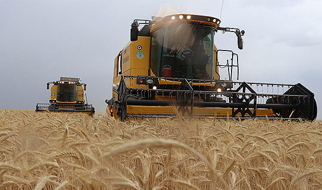 Tarım Bakanı Yumaklı: TMO, 10 milyon ton hububat alacak