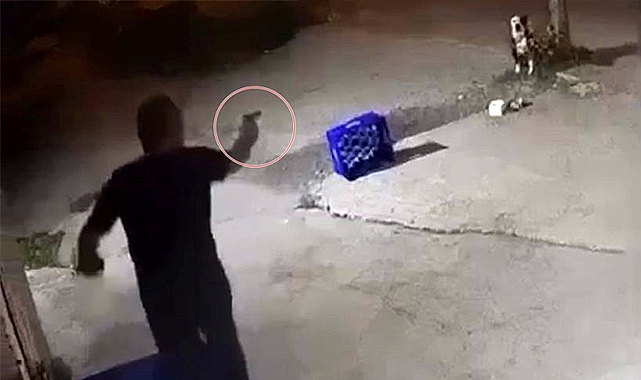 Tartıştığı eğlence mekanı sahibinin ağaca bağlı köpeğine bir şarjör mermi sıktı