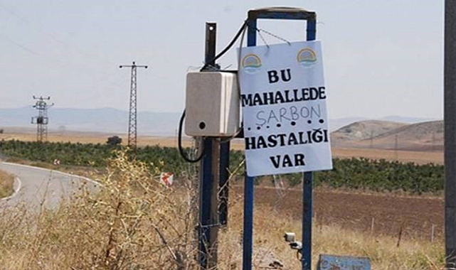 Terme'de şarbon karantinası kaldırıldı