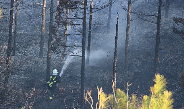 Amasya’da orman yangını kontrol altında