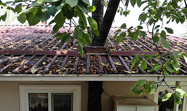 Baba mirası ağacı kesmeye kıyamadı