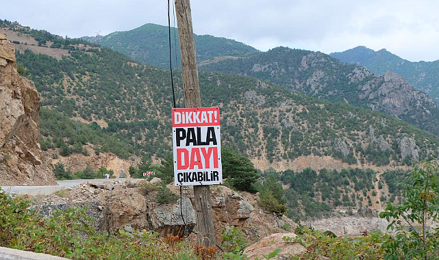 ‘Dikkat Pala Dayı Çıkabilir’