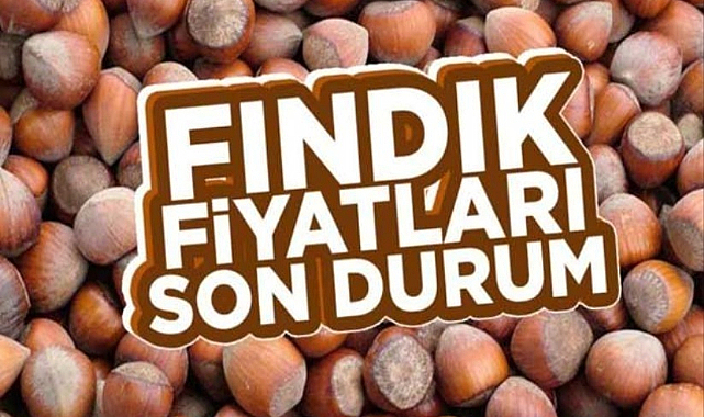 Fındık fiyatları ne kadar oldu? İşte 20 Ağustos Pazar fındık fiyatları