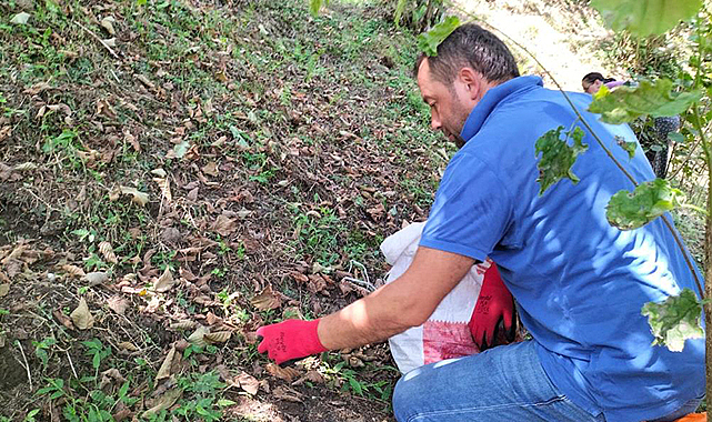 Fındık üreticilerinin sıcakla imtihanı