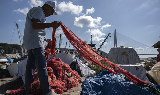 Hamsi, sezona 70 liradan başlayabilir