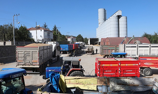 Havza'da TMO alımları devam ediyor