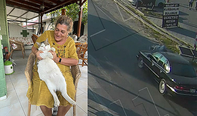 Işıkları ihlal edip 110 kilometre hızla yaya geçindeki kadını ezdi geçti