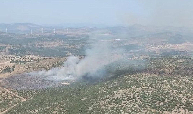 İzmir'de makilik alanda yangın çıktı