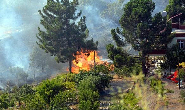 Kahramanmaraş'ta çıkan orman yangınına müdahale ediliyor