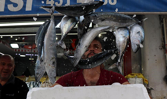 Karadeniz’de bu yıl palamut yok, hamsi var