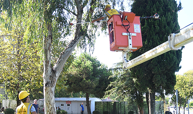 Kentin ‘ciğerlerine’ Büyükşehir’den bakım