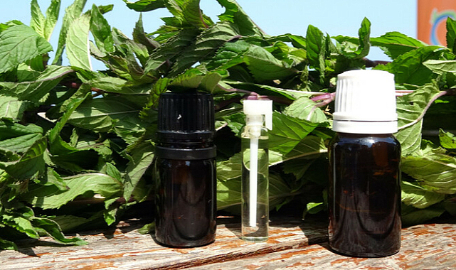 Kilosu 35 bin TL! Ordulu kuzenlerin rakibi Almanya