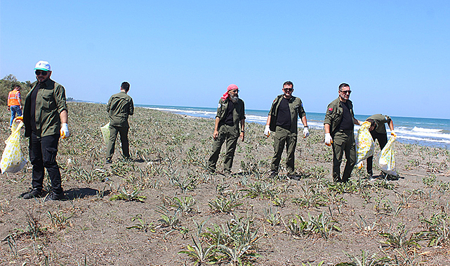 Kum zambakları koruma altında
