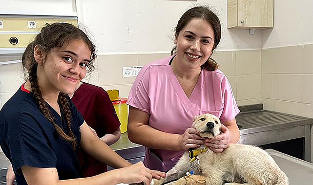 OMÜ’de 6 ayda yaklaşık 18 bin hayvan tedavi edildi