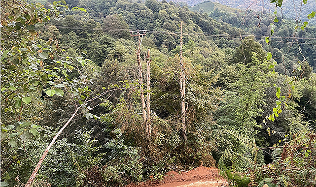 Rize'de şiddetli yağışların ardından hasar tespiti sürüyor