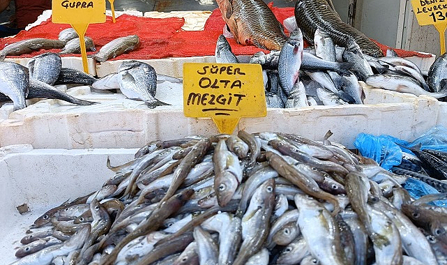 Samsun'da balık tezgahı şenlendi! Olta mezgidi 80 TL