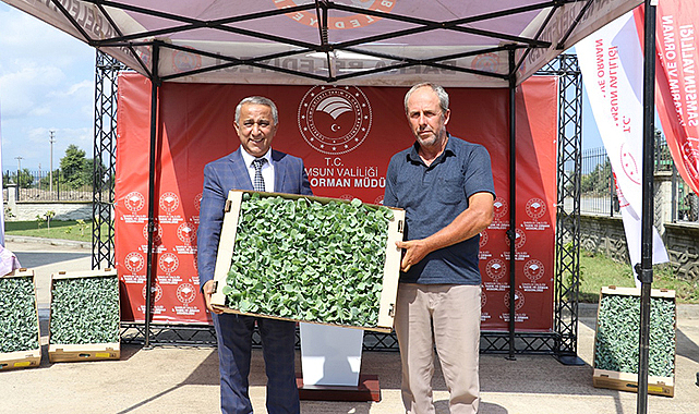 Samsun’da çiftçilere fide desteği sürüyor