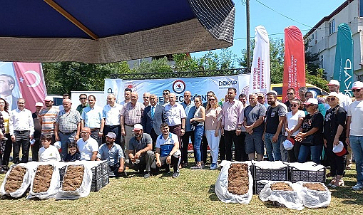 Samsun'da çilek üreticilerine destek
