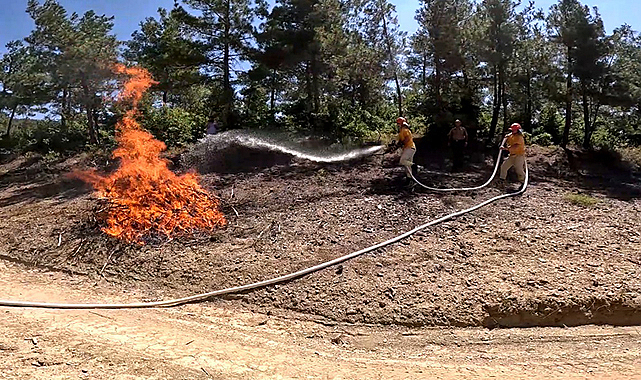 Samsun’da orman yangınlarına karşı ‘su havuzu’ önlemi