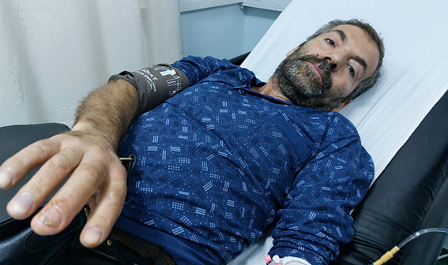 Samsun'da yılan sokma vakaları arttı