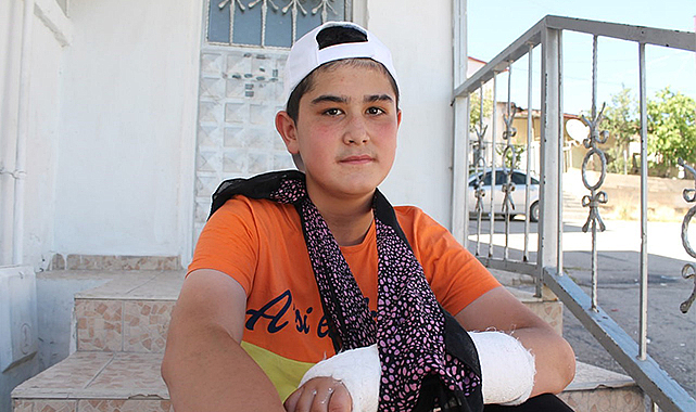 Sokak köpeği sebep oldu