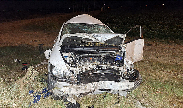 Tarlaya devrilen otomobildeki 4 kişi yaralandı