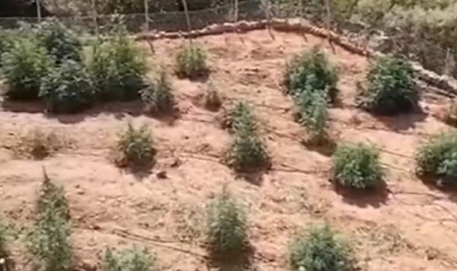 Terör örgütünün 36,4 milyar lira yasa dışı geliri engellendi