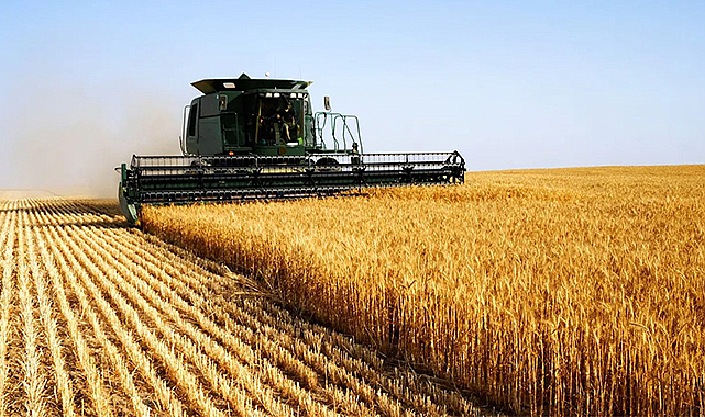 Ukrayna vurdu buğday fiyatları uçtu