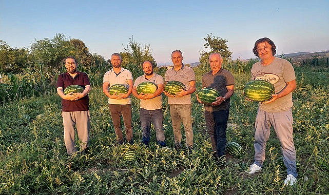 Vezirköprü tarımına alternatif karpuz