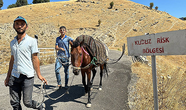 Adıyaman'da sahibini ısıran at kuduz çıktı; köy karantinada