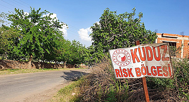 Artvin'de 3 köy kuduz nedeniyle karantinaya alındı