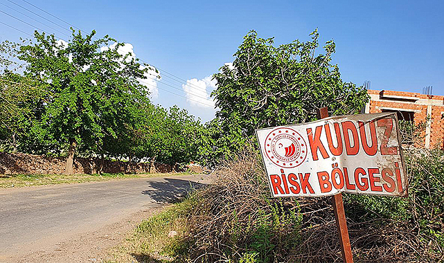 Artvin'de 3 köy kuduz nedeniyle karantinaya alındı