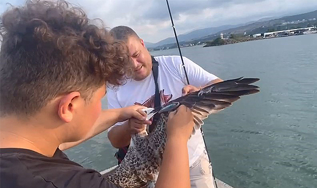 Balığa niyet martıya kısmet!