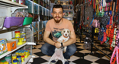 Petshoplara yasak geldi, merdiven altı satış arttı