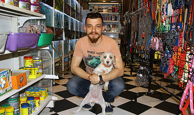 Petshoplara yasak geldi, merdiven altı satış arttı