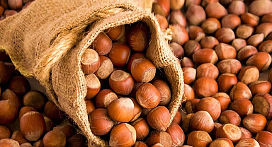 Fındığın kilogramı kaç lira?