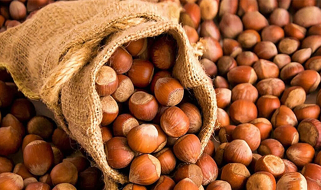 Fındığın kilogramı kaç lira?