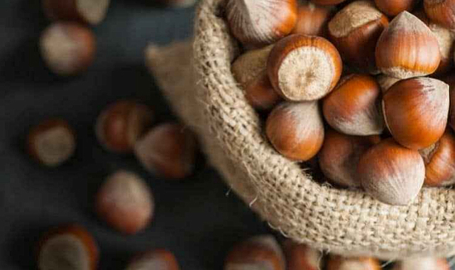 Fındık 2023-2024 sezonu ihracat hedefi: 280 bin ton