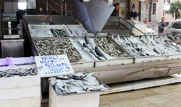 Hamsinin kilogramı 50 liraya düştü