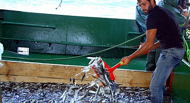 'Karadeniz'de balık olsa da avlasak' diyeceğiz