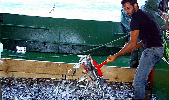 'Karadeniz'de balık olsa da avlasak' diyeceğiz