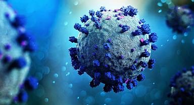 Koronavirüsün yeni varyantına dikkat! Aşıdan kaçabilir…