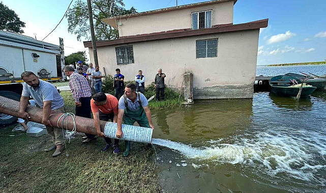 Milyonlarca yavru sazan iç sulara salındı