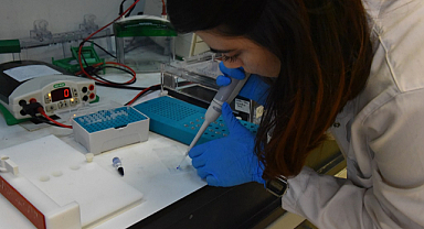 OMÜ'de KİTAM akreditasyonu tamamlandı!