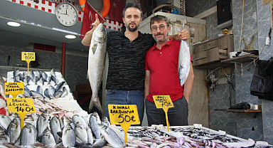 Samsun bu sezon hamsiye doyacak!