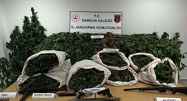 Samsun'da jandarmadan operasyon! 33 kilo esrar ele geçirildi
