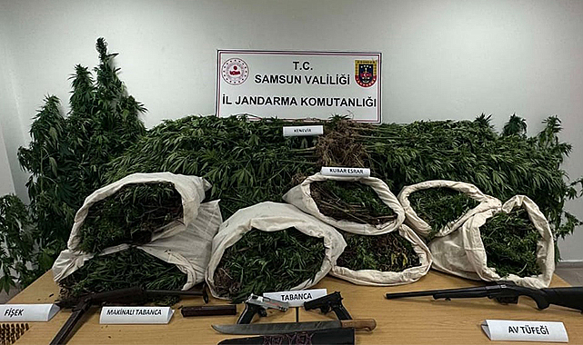 Samsun'da jandarmadan operasyon! 33 kilo esrar ele geçirildi
