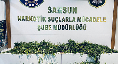 Bafra'da uyuşturucu operasyonu! 3 gözaltı